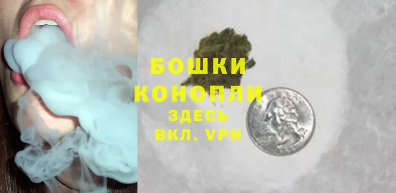 Каннабис White Widow  Прокопьевск 